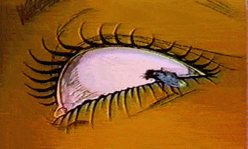 an image of a persons eye with eyelashes