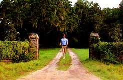 a man stands in the middle of a road that is lined with hedges