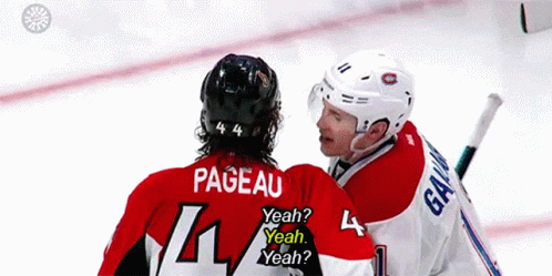two hockey players are talking to each other