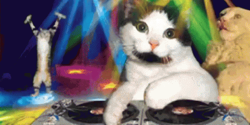 a cat is playing a record player with a weird looking face