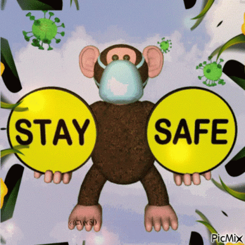 monkeys with sign saying stay safe on them