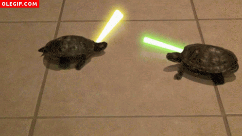two turtles in motion, one with neon lightsabe and the other tortoise
