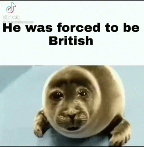 a seal face and the caption reads he was forced to be british