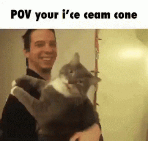 an advertit of a man holding a cat that says pov your if't e team one