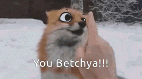 a furry animal is shown with the text, you betchyva