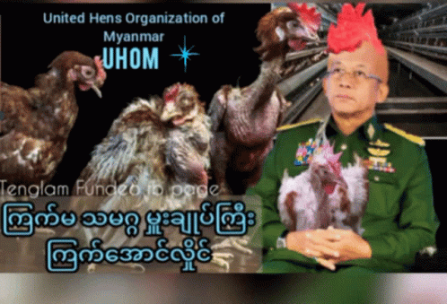 an article about the vietnam military chicken herd