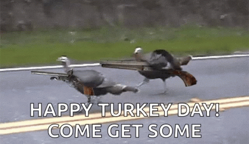 two turkeys on a field, with the text happy turkey day come get some