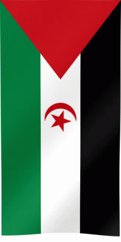 the flag of chadi is seen here