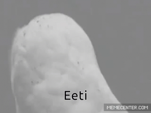 a white snow covered head and with the word eeeti on it