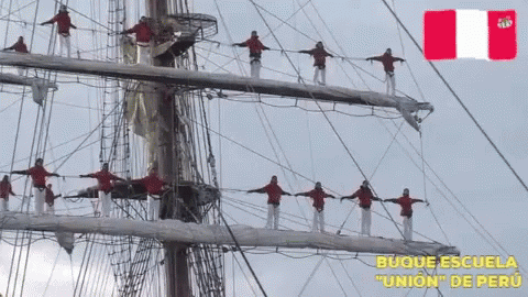 many ropes in a masted ship with blue birds sitting on them