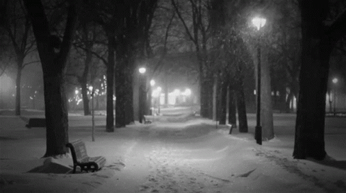 a park bench is covered with snow at night