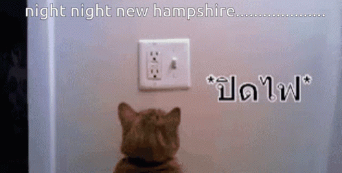 a cat sitting on top of a toilet next to a light switch