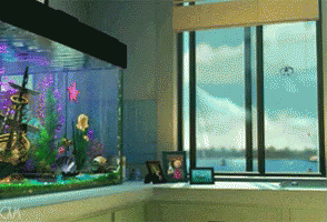 an aquarium with fish, plants and other decor