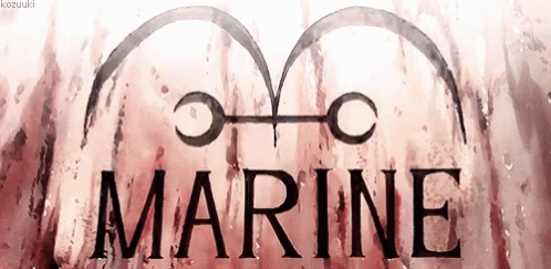the words marine on icey glass with a heart