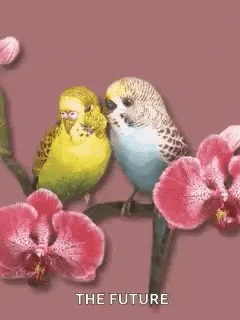 two small birds sitting on a nch in front of purple flowers