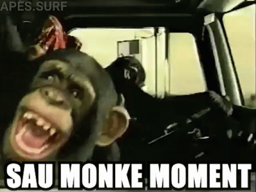 a fake monkey being put in a car and another person is driving it