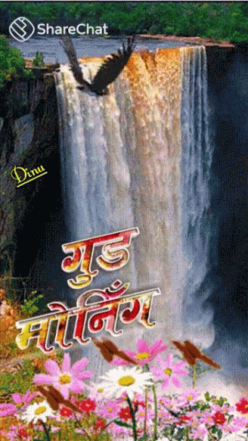 an advertit featuring a waterfall in the background