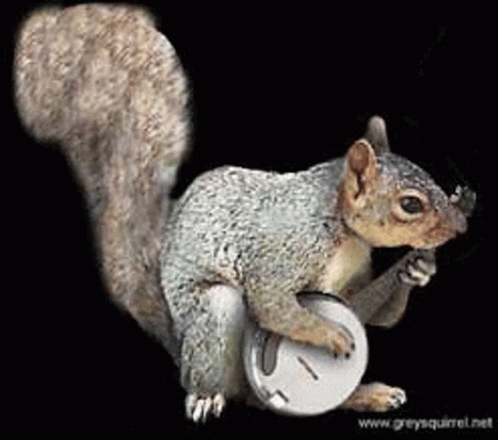 a squirrel is holding an object on his chest