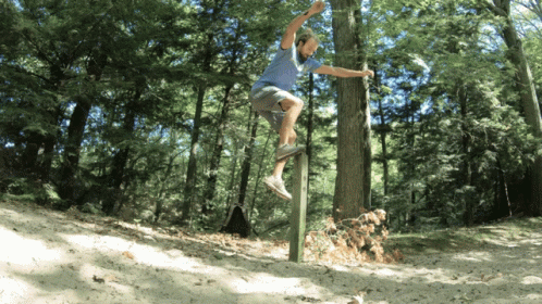 a person jumping a pole on skis in the woods