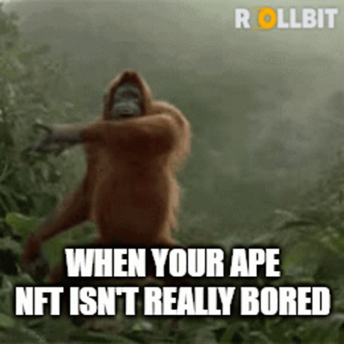 a very funny monkey with a caption about saying