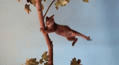 a painting of a cat climbing up the side of a tree