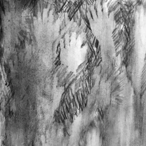 the dark drawing shows a bird sitting on top of a tree