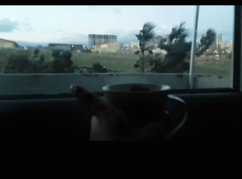 a coffee cup in front of a window overlooking a grassy field