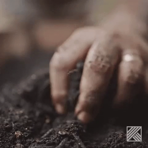 a person holding onto soing in the dirt