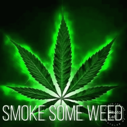 marijuana leaf on a green light with the words smoke some weed