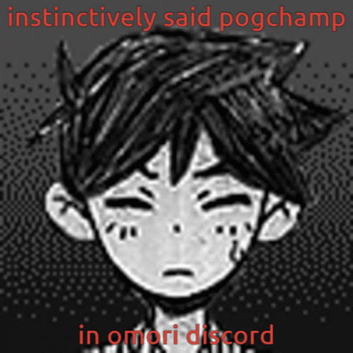 a cartoon picture of an anime boy in the background and the words instructively said poechamp