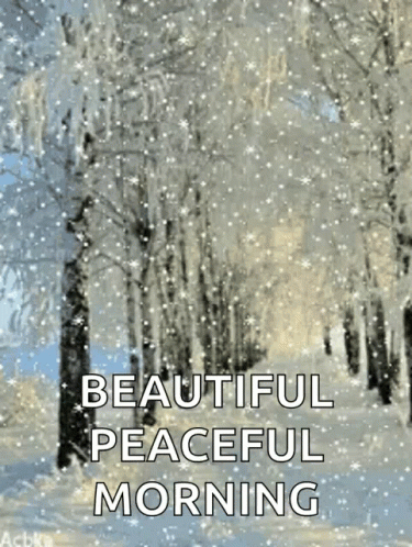 a quote about the beautiful peaceful morning with white snow falling down