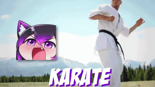 a person in karate attire standing next to a cat