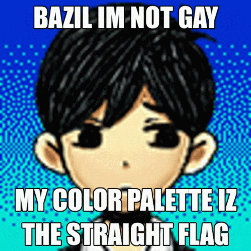 cartoon with text saying zil i'm not gay, my color paletez the straight flag