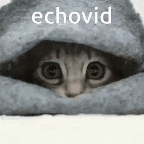 an animal hiding under the covers with words over its eyes