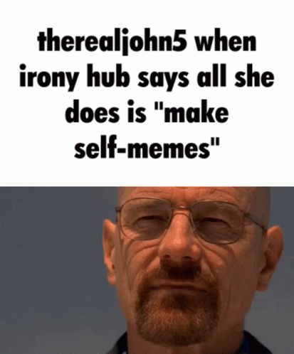 a picture of a man's face in different color, with a caption that reads therealloinns when irony hub says all she does'make self - memes