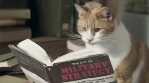 a cat is sitting with a book on it