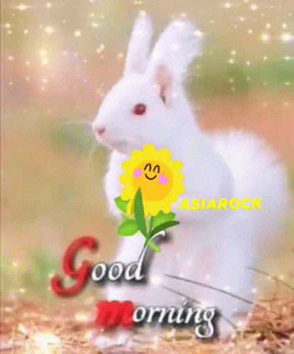 a bunny holding a blue flower with the words good morning on it