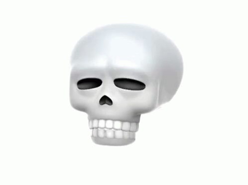 the skull is the only object that can be seen with the eyes