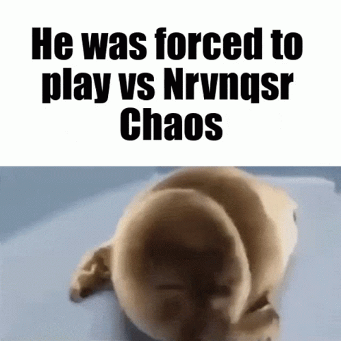 a picture of someones baby elephant that was forced to play vs nvrngsr / vnhgr chaos