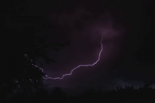purple storm over trees and dark night sky