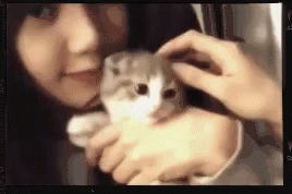 a woman holding a white kitten in her arms