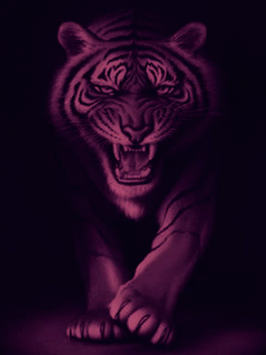 a close up of a purple lit tiger