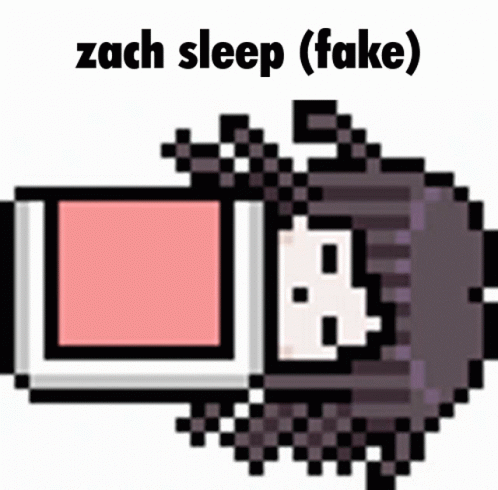 a pixelon character with a caption reading, zech sleep fake