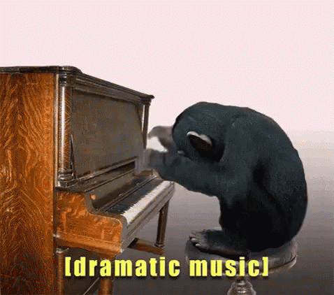 an animal sitting at the piano while looking down at it