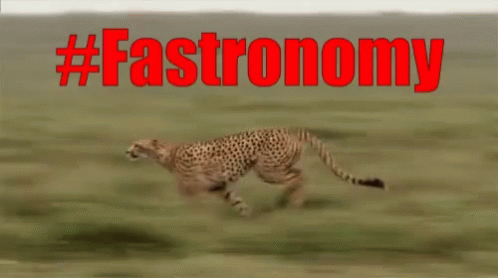 a picture of a leopard with text that reads fastroomny