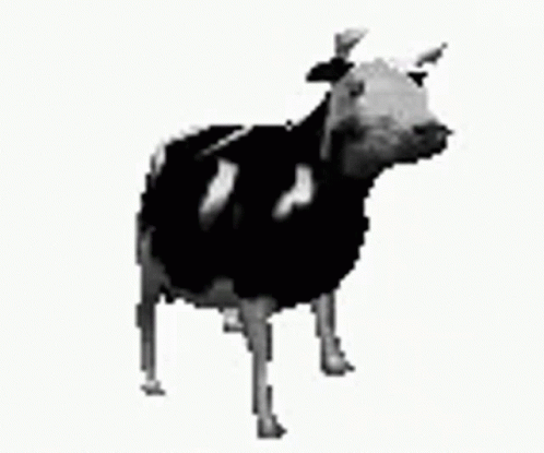 black and white image of an upside down cow
