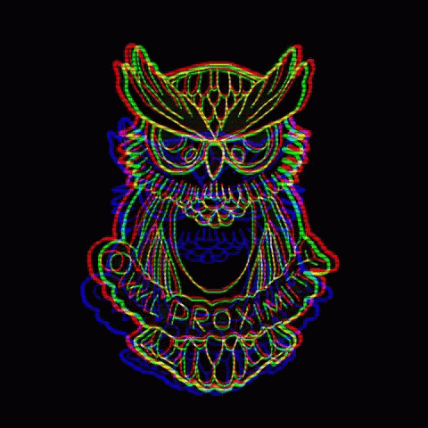 an illuminated pograph of a owl face