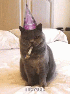 a cat that is wearing a party hat with a cigarette