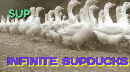 a po showing a group of geese in an in - infinite space