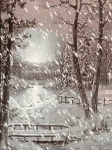 winter scene with snow falling and trees